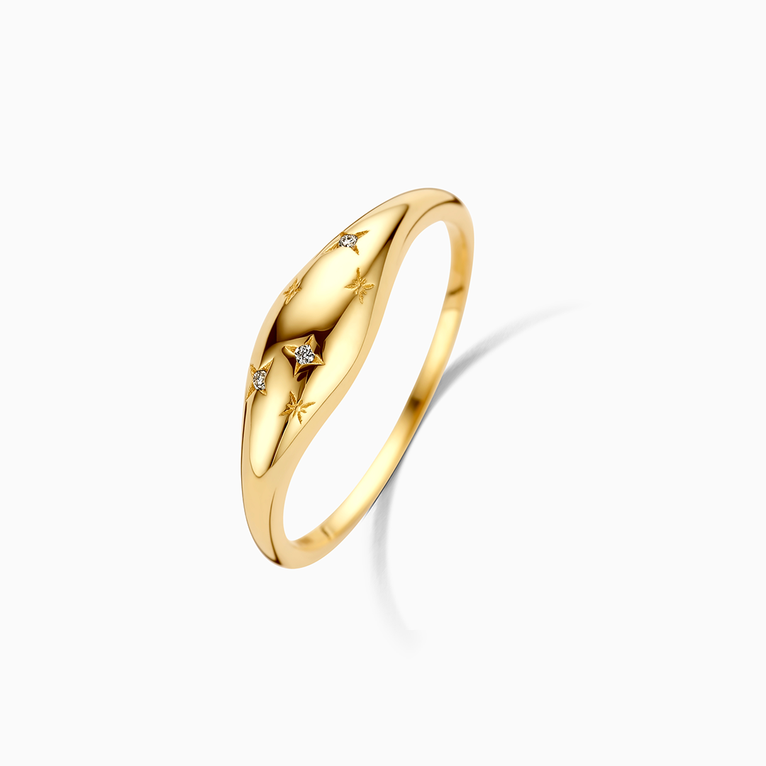 Diamanten koepelring | Goud 14k