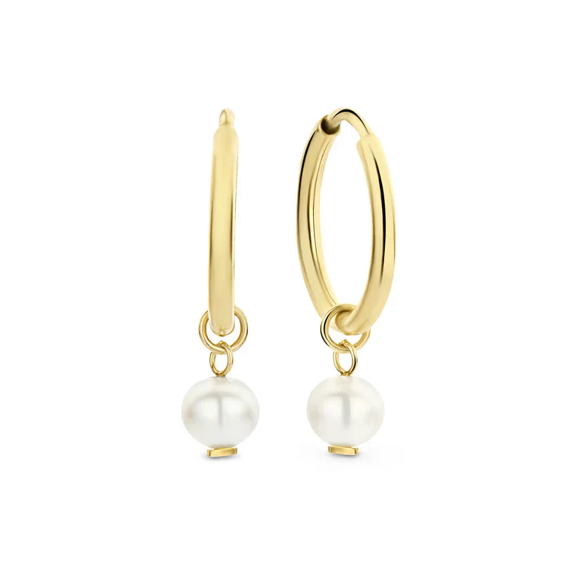 Delia Crest oorbellen | Goud 14k