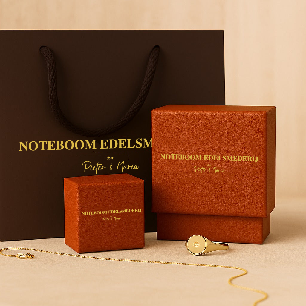 Destinee oorbellen | witgoud 18k